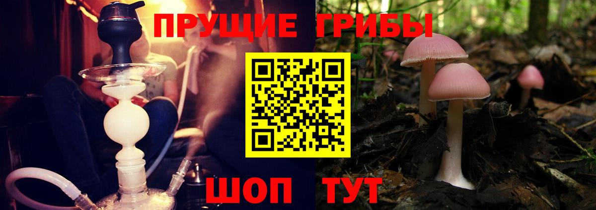 Галлюциногенные грибы Psilocybine cubensis  сколько стоит  Лангепас  Вход с VPN 